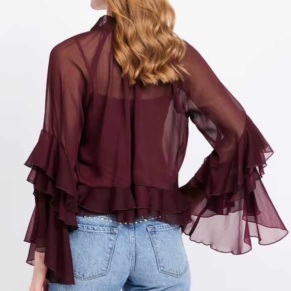 Lucy Paris Burgundy Kyle V-Neck Long Sleeve Chiffon Ruffle Top - Picture 2 of 6